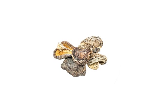 Cogumelos Chileno Desindratados 150g