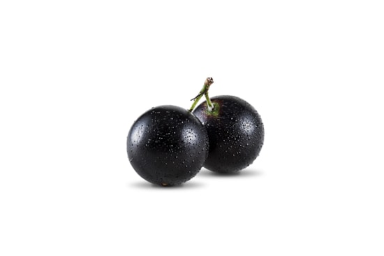 Jabuticaba Kg