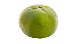 Mexerica Ponkan Unidade