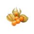 Physalis 90g